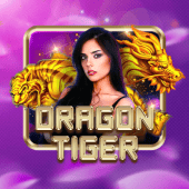Dragon Tiger live table cover art with dragon and tiger theme
